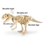 Dinosaur Fossil Digging Kit - Image 6