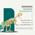 Dinosaur Fossil Digging Kit - Image 8